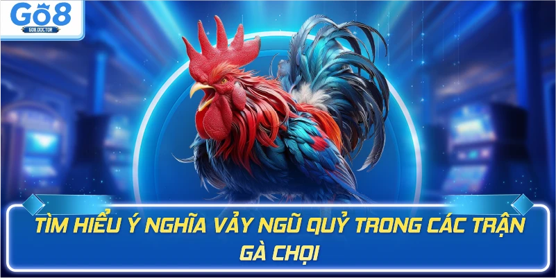 Tìm hiểu ý nghĩa vảy ngũ quỷ trong các trận gà chọi